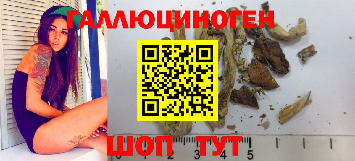 Псилоцибиновые грибы прущие грибы Менделеевск